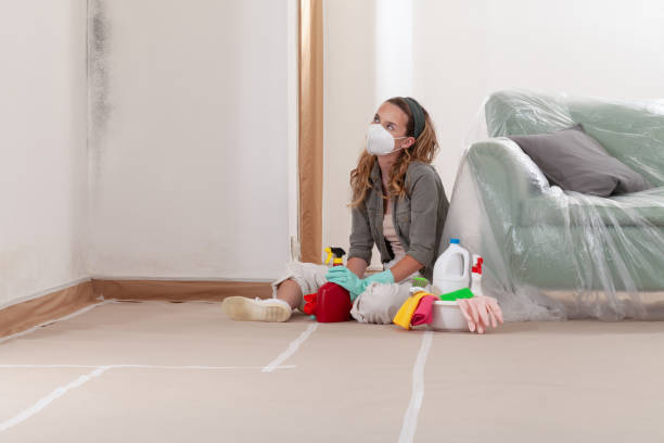Reliable Mold Cleanup contractor in Wallington, NJ by WQB Mold Removal